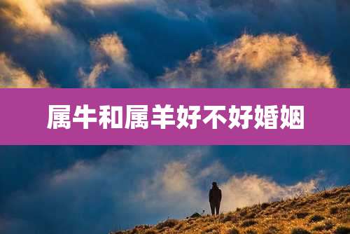 属牛和属羊好不好婚姻