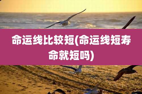 命运线比较短(命运线短寿命就短吗)