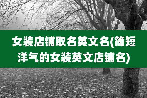 女装店铺取名英文名(简短洋气的女装英文店铺名)