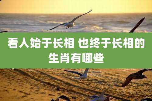 看人始于长相 也终于长相的生肖有哪些