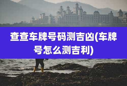 查查车牌号码测吉凶(车牌号怎么测吉利)