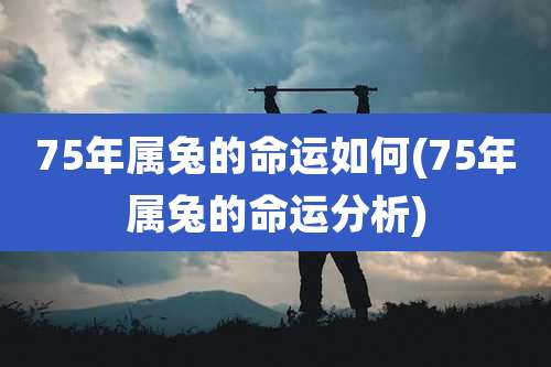 75年属兔的命运如何(75年属兔的命运分析)