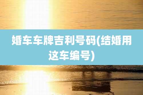 婚车车牌吉利号码(结婚用这车编号)