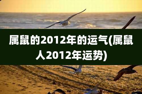 属鼠的2012年的运气(属鼠人2012年运势)