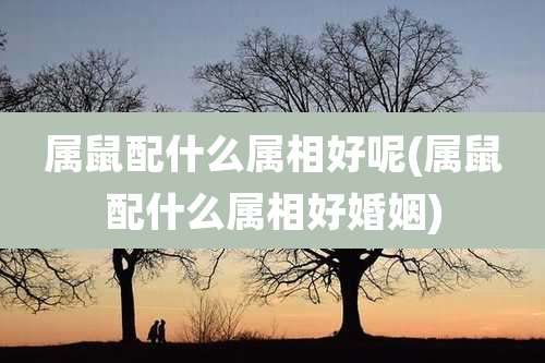 属鼠配什么属相好呢(属鼠配什么属相好婚姻)