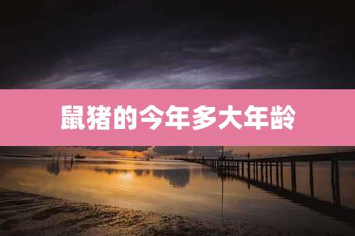 鼠猪的今年多大年龄