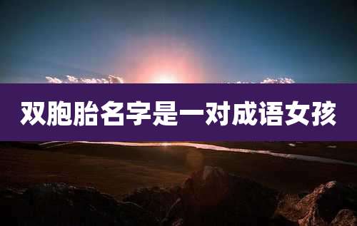 双胞胎名字是一对成语女孩