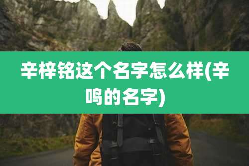 辛梓铭这个名字怎么样(辛鸣的名字)