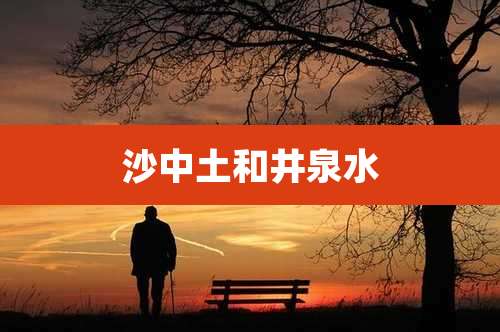 沙中土和井泉水