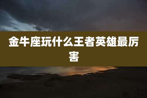 金牛座玩什么王者英雄最厉害