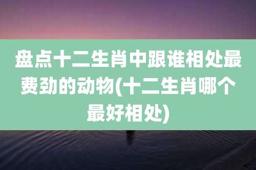 盘点十二生肖中跟谁相处最费劲的动物(十二生肖哪个最好相处)