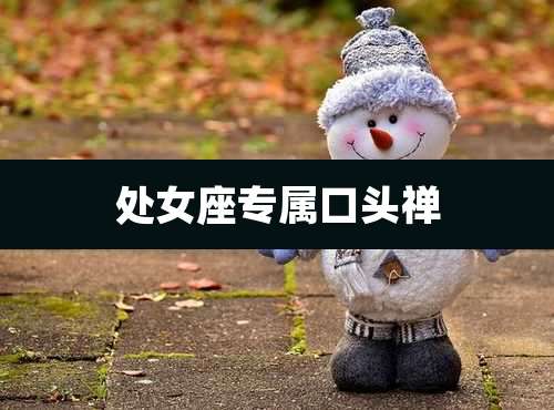 处女座专属口头禅
