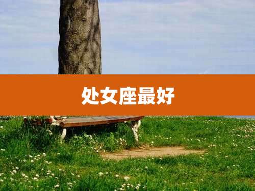 处女座最好