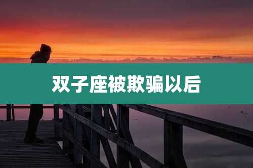 双子座被欺骗以后