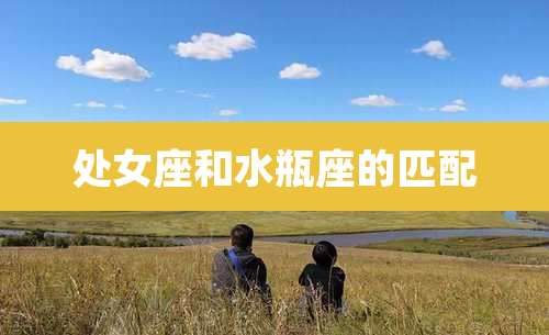 处女座和水瓶座的匹配