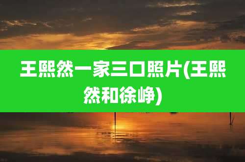 王熙然一家三口照片(王熙然和徐峥)