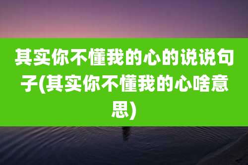 其实你不懂我的心的说说句子(其实你不懂我的心啥意思)