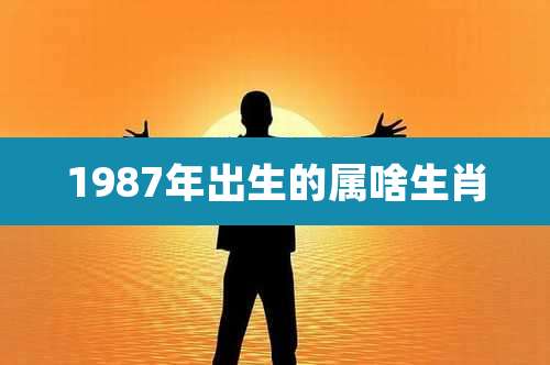 1987年出生的属啥生肖