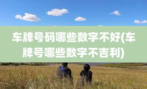 车牌号码哪些数字不好(车牌号哪些数字不吉利)