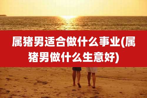 属猪男适合做什么事业(属猪男做什么生意好)