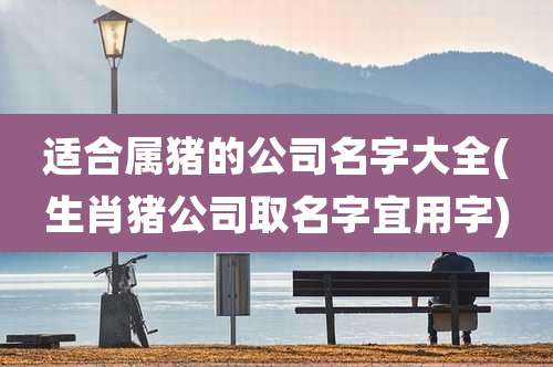 适合属猪的公司名字大全(生肖猪公司取名字宜用字)