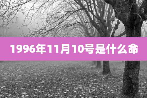 1996年11月10号是什么命