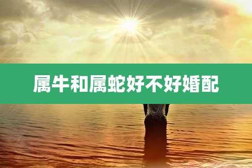 属牛和属蛇好不好婚配