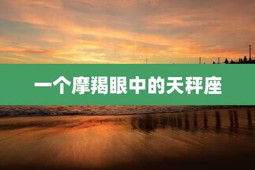 一个摩羯眼中的天秤座