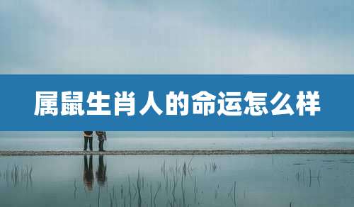 属鼠生肖人的命运怎么样