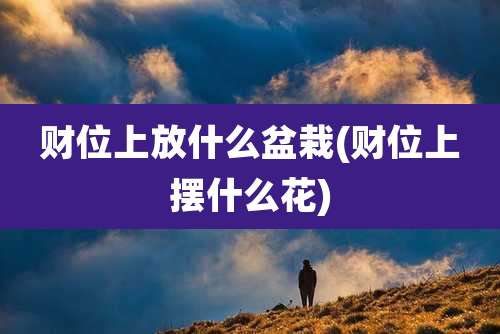 财位上放什么盆栽(财位上摆什么花)