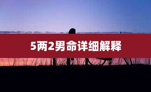 5两2男命详细解释