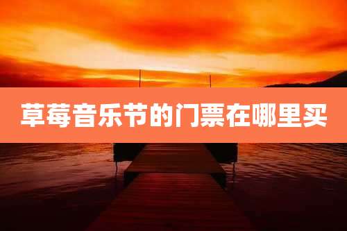 草莓音乐节的门票在哪里买