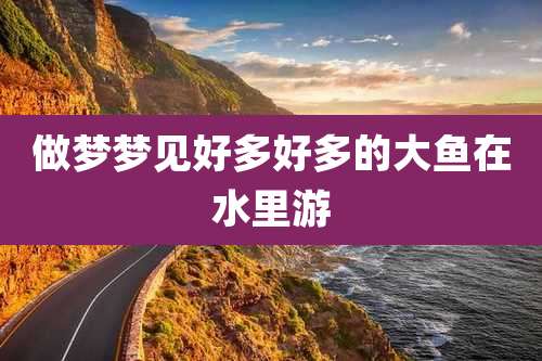 做梦梦见好多好多的大鱼在水里游