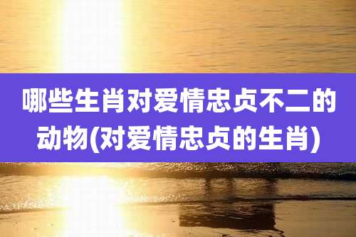 哪些生肖对爱情忠贞不二的动物(对爱情忠贞的生肖)