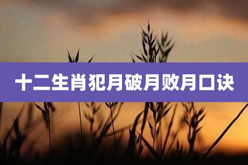 十二生肖犯月破月败月口诀