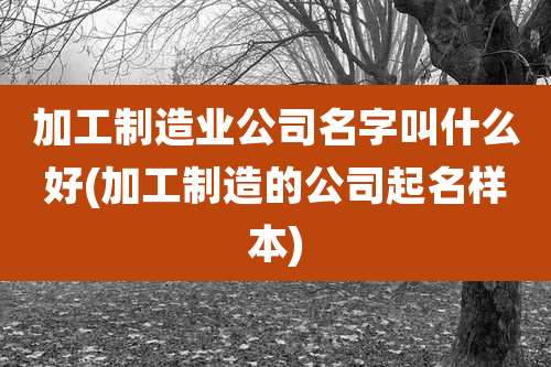 加工制造业公司名字叫什么好(加工制造的公司起名样本)