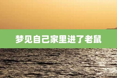 梦见自己家里进了老鼠