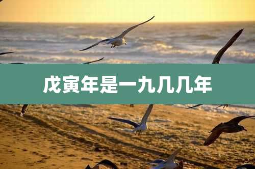 戊寅年是一九几几年