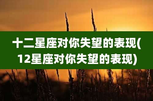 十二星座对你失望的表现(12星座对你失望的表现)