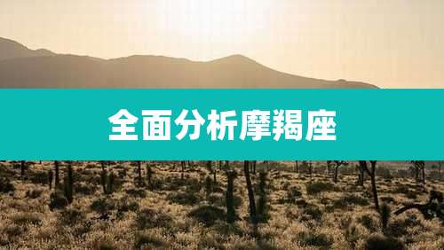 全面分析摩羯座