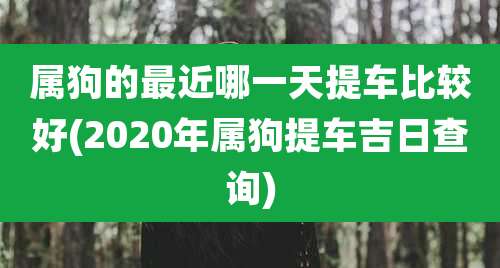 属狗的最近哪一天提车比较好(2020年属狗提车吉日查询)
