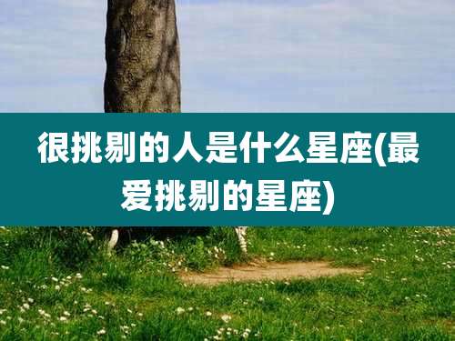 很挑剔的人是什么星座(最爱挑剔的星座)