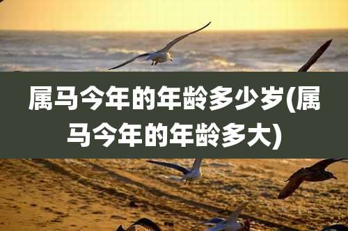 属马今年的年龄多少岁(属马今年的年龄多大)