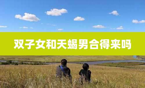 双子女和天蝎男合得来吗