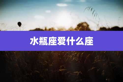 水瓶座爱什么座