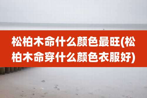 松柏木命什么颜色最旺(松柏木命穿什么颜色衣服好)
