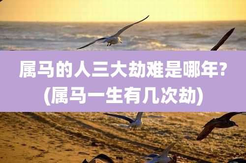 属马的人三大劫难是哪年?(属马一生有几次劫)