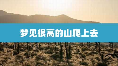 梦见很高的山爬上去