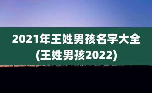 2021年王姓男孩名字大全(王姓男孩2022)