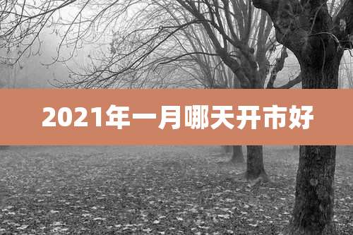 2021年一月哪天开市好